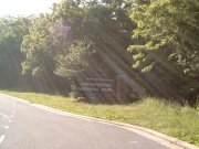 Shenandoah National Park, Virginia