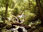 Shenandoah National Park, Virginia