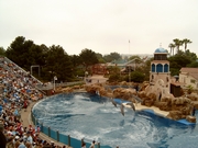 De Dolphin Discovery show in Sea World