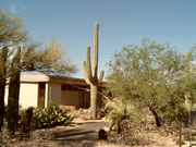 Visitor center bij Saguaro National Park (oostzijde)