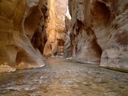 Prachtige rotsformaties tijdens de Narrows Trail in Zion National Park