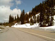 Sneeuw in Mount Rainier National Park