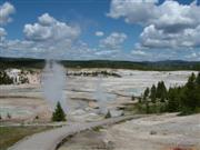 Norris Geyser Basin