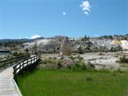 Mammoth Hot Springs