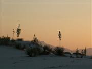 Ondergaande zon in White Sands National Monument...